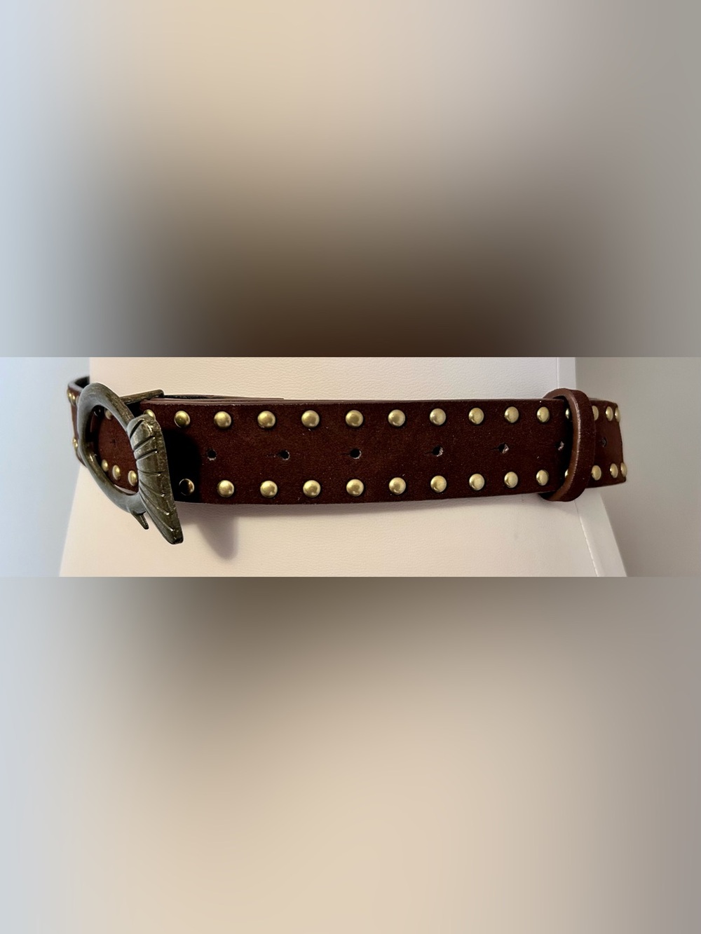 NWT - Cider Studded Fish Belt in Coffee - Picture 5 of 6